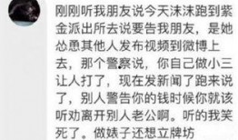 小三爆料导演视频,视频爆料背后的惊人真相