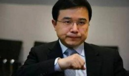 王亚伟最新爆料,揭秘行业内幕与投资新动向