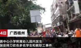 番禺都市爆料事件始末最新消息,真相揭晓，疑云散去