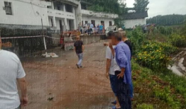 南部县今日爆料,聚焦热点事件，揭示社会现象