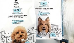 诚实一口狗粮爆料视频播放,诚实一口揭示甜蜜瞬间