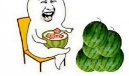 娱乐吃瓜免费观看,揭秘热门吃瓜瞬间