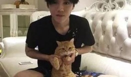 爆料鹿晗多年女友视频,视频曝光背后的情感纠葛