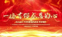 感恩节最新爆料视频下载,最新爆料视频深度解析