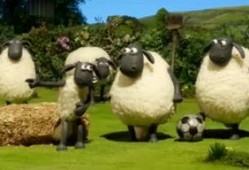 小羊最新爆料视频下载安装,揭秘幕后真相，带你走进事件核心