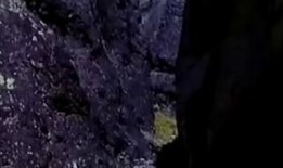 电视剧哑姑在线观看