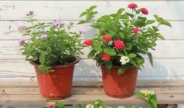 天津食堂爆料视频最新消息,食品安全问题曝光