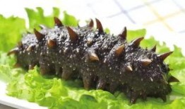 烟台海参爆料事件始末最新消息,真相追踪与行业反思