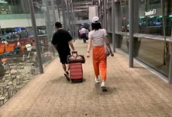 娱乐八卦爆料郑恺苗苗,甜蜜互动引网友热议