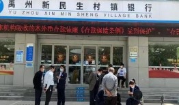 爆料村镇银行事件视频,揭开金融乱象背后的真相