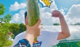 网红吃瓜爆料大全图片,揭秘娱乐圈幕后真相