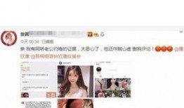 网红夫妇爆料视频播放,揭秘幕后真相与情感纠葛