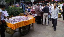 南部县今日爆料,聚焦热点事件，揭示社会现象