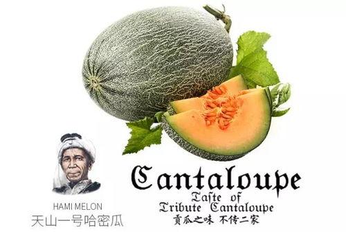 娱乐吃瓜群众1号